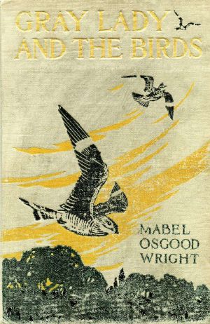 [Gutenberg 62793] • Gray Lady and the Birds · Stories of the Bird Year for Home and School